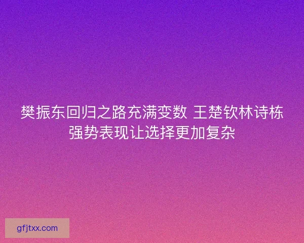 樊振东回归之路充满变数 王楚钦林诗栋强势表现让选择更加复杂